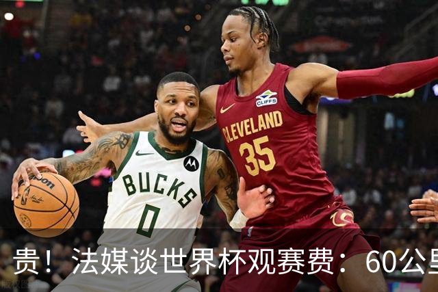 贵！法媒谈世界杯观赛费：60公里火车98美元，有人4天花4500欧元